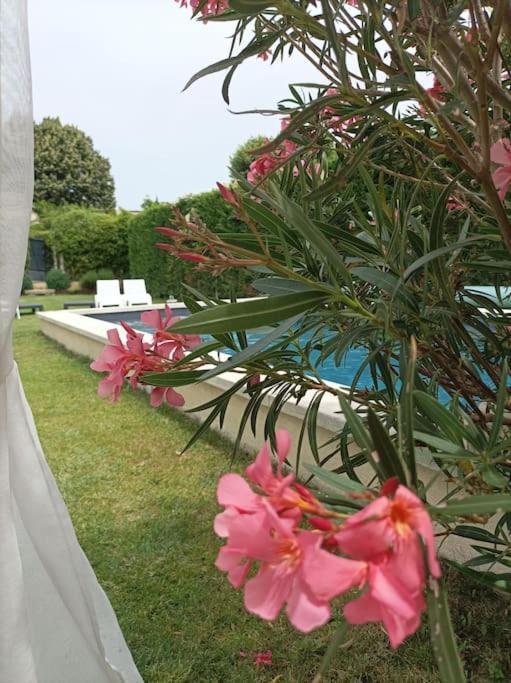 Le Cabanon Tendance Du Luberon Mérindol Dış mekan fotoğraf