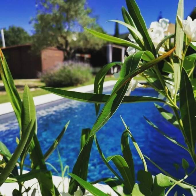 Le Cabanon Tendance Du Luberon Mérindol Dış mekan fotoğraf