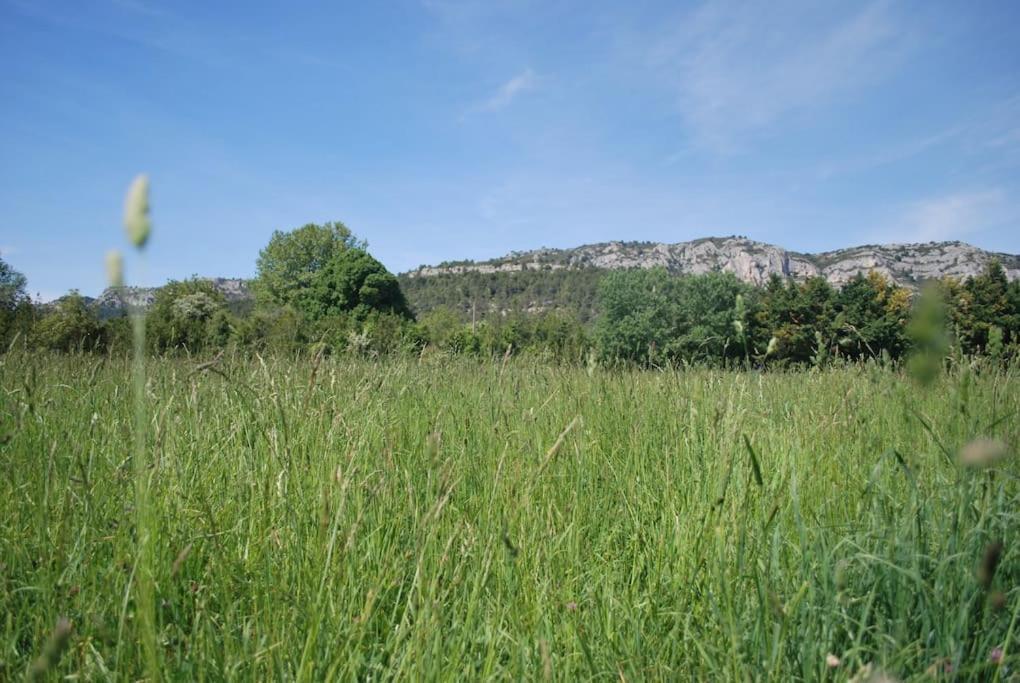 Le Cabanon Tendance Du Luberon Mérindol Dış mekan fotoğraf